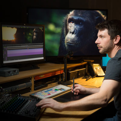 Robin Lewis - Editor 